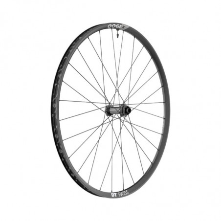 DT Swiss X 1900 SPLINE Laufrad 29", Center Lock, 25mm, 100/15mm