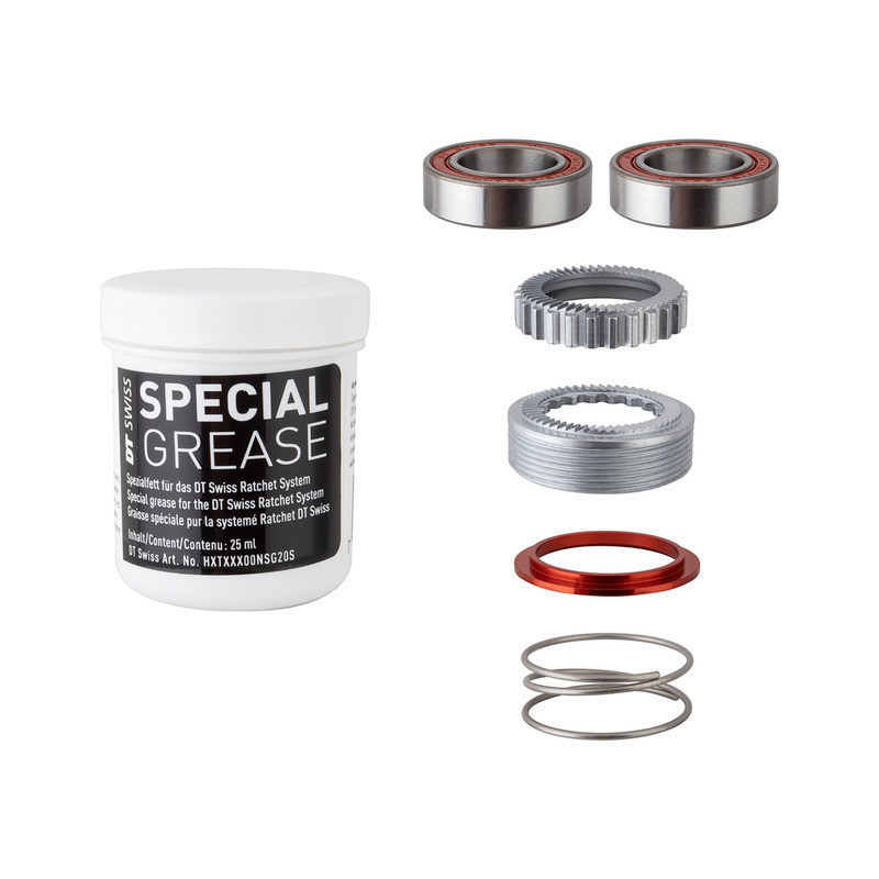 DT Swiss Service Kit Ratchet EXP 54T 240 w. Bearing