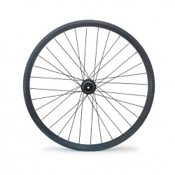 TERN Bikes Vorderrad für Verge D9, schwarz, Shimano Nabe, 100 mm