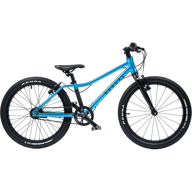 Rascal Bikes Rascal 20 Belt Drive 3-Gang, Aquamarine 20 Zoll