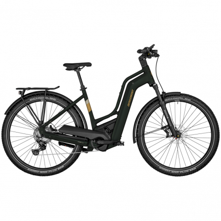 Bergamont E-Horizon SUV 6 Amsterdam, matt gloomy green