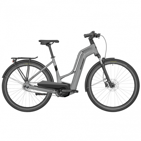 Bergamont E-Horizon N5e FH Belt Amsterdam, matt titanium silver