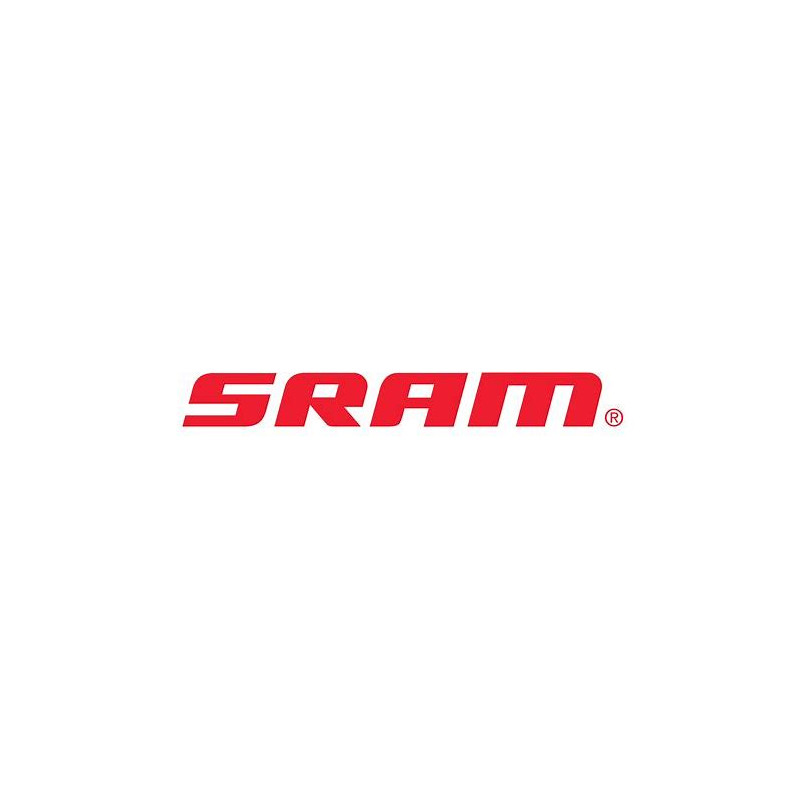 SRAM Speichenkit S40, 276mm, silber, Hinterrad, links ( 3 Stk.)