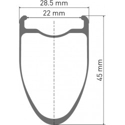 DT Swiss ERC 1100 Dicut 45 WTS Disc