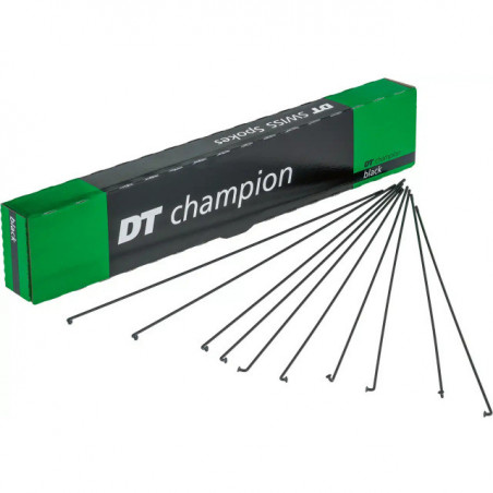 DT Swiss Speichen Champion 240mm schwarz