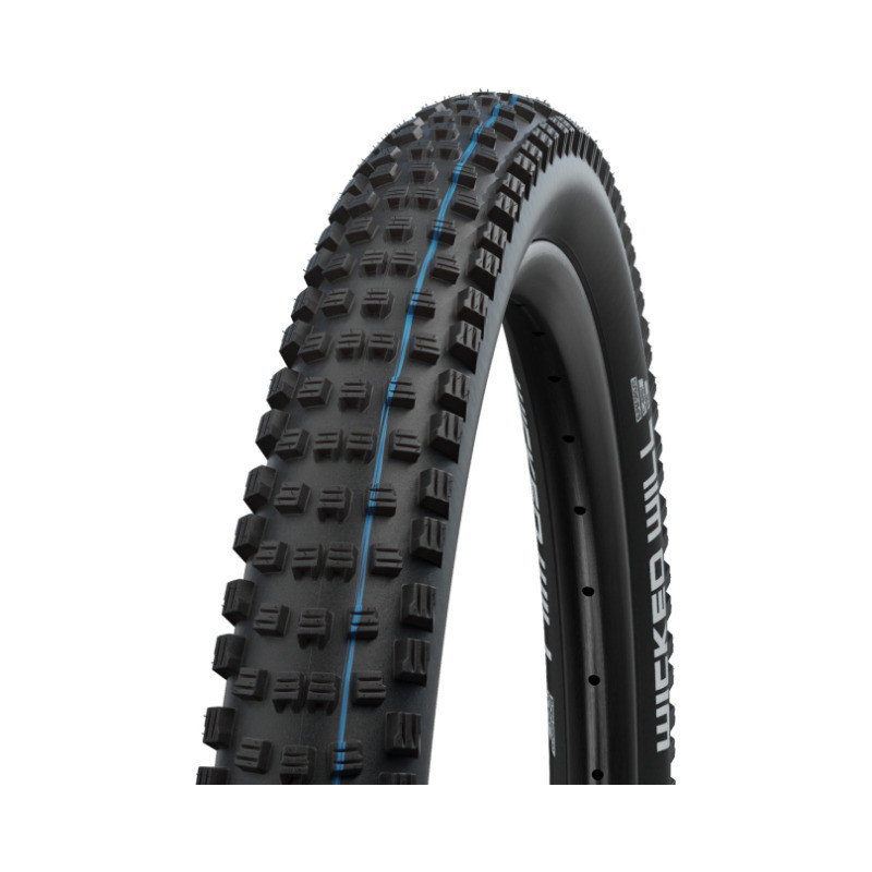 Schwalbe Wicked Will Performance HS614 29x2.25