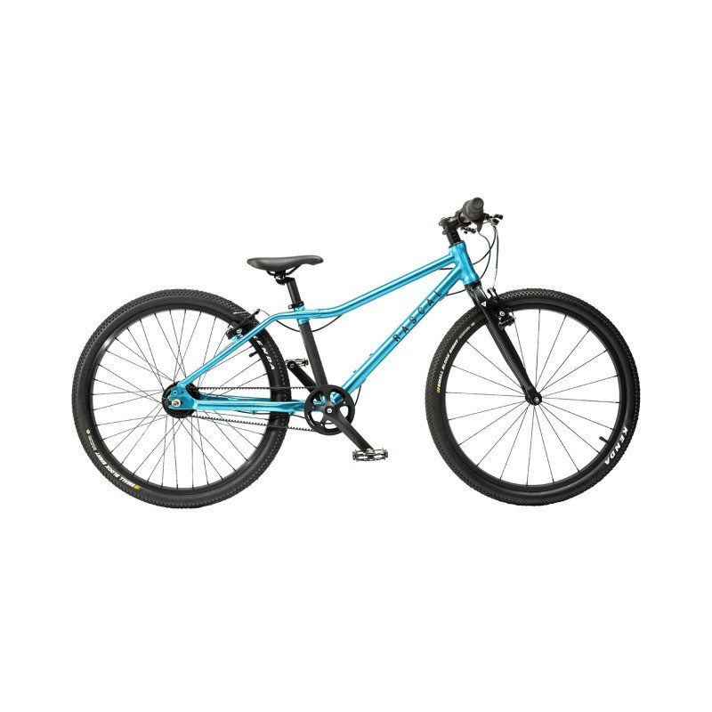 Rascal Bikes Rascal 24 Belt Drive 7-Gang