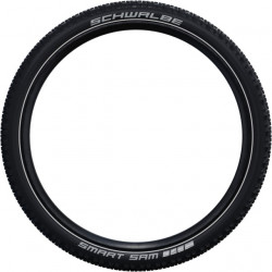 Schwalbe Smart Sam Plus Performance RaceGuard HS624 29x2.60