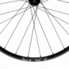 Race Face ERA 30 Carbon MTB CLN Center Lock Wheel, 29"/12x148-B