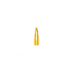 Lezyne CNC TLR Valve Cap