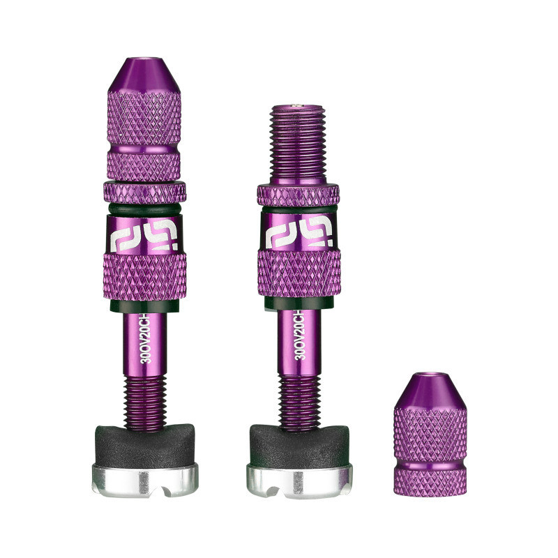 Ethirteen Tubelessventil Schrader Quickfill Gen2 Aluminium , 2 Stk 16-24mm