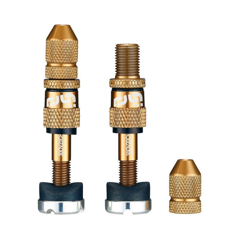 Ethirteen Tubelessventil Schrader Quickfill Gen2 Aluminium , 2 Stk 23-31mm