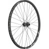 DT Swiss FR 1950 CLASSIC Laufrad 29" IS 30 110/20mm