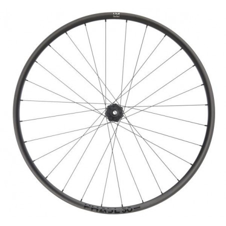 NEWMEN Phase 30 light XC 29" 12 x 148mm 6-Loch Sram XD Laufrad hinten