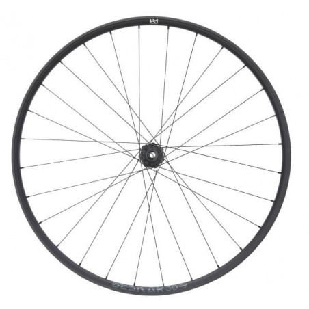 NEWMEN Beskar 30 Base Trail 29" 12 x 148mm 6-Loch Shimano Micro Spline Laufrad hinten