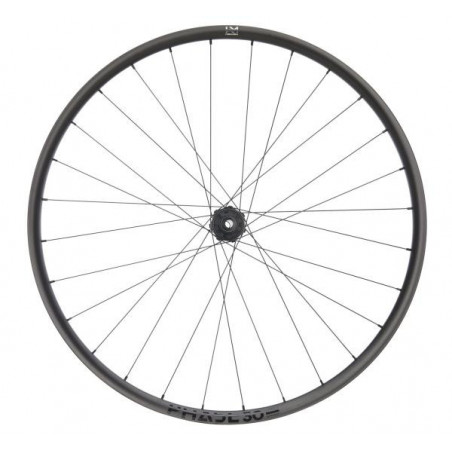 NEWMEN Phase 30 Base Trail 29" 12 x 148mm Shimano Micro Spline Laufrad hinten