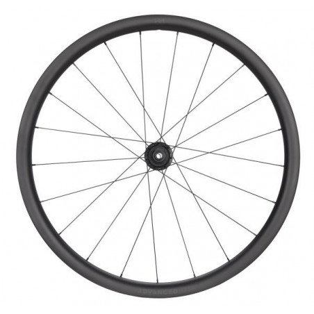 NEWMEN Advanced Gravel G.34 12 x 142mm Centerlock Shimano 9/10/11/12 fach Laufrad hinten