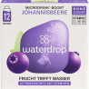 waterdrop Microdrink Boost Johannisbeere (6x12 Pack)