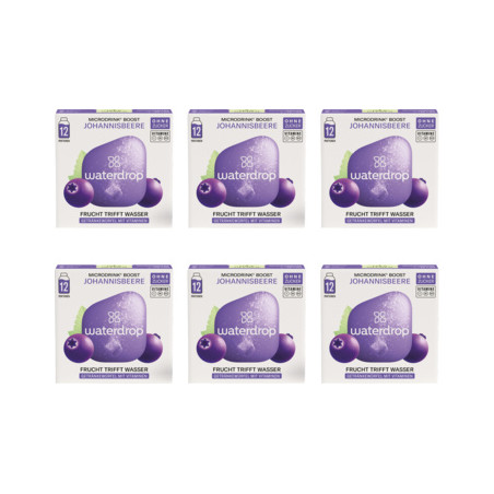 waterdrop Microdrink Boost Johannisbeere (6x12 Pack)