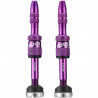 Ethirteen Tubelessventil Quickfill Gen2 Aluminium 2 Stk 23-31mm