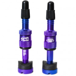 Ethirteen Tubelessventil Quickfill Gen2 Aluminium 2 Stk 16-24mm