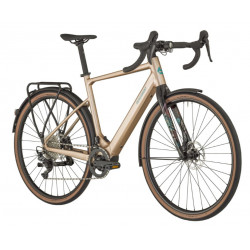 Bergamont E-Grandurance RD 8