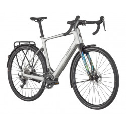 Bergamont E-Grandurance RD Expert, shiny flaky silver