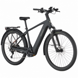 Bergamont E-Horizon Sport 20, flaky black
