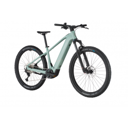 Bergamont E-Revox Sport 10, sage green