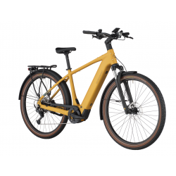 Bergamont E-Horizon Sport 20, colorado gold