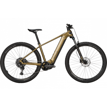 Bulls Copperhead Evo 29, Herren