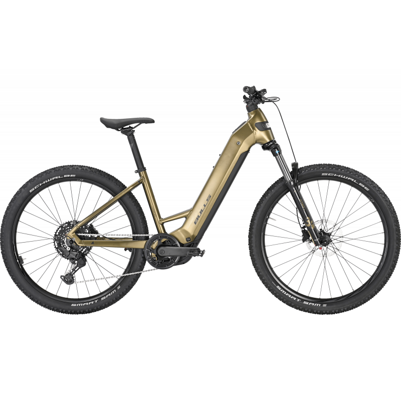 Bulls Copperhead Evo 29, Tiefeinsteiger