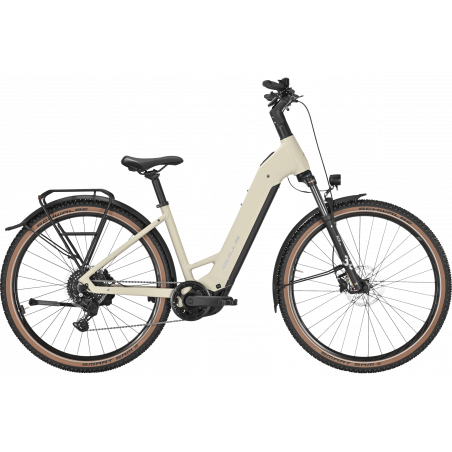 Bulls Iconic EVO 1, Tiefeinsteiger