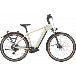 Bulls Iconic EVO 1, Trapez