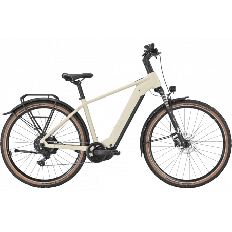 Bulls Iconic EVO 1, Trapez