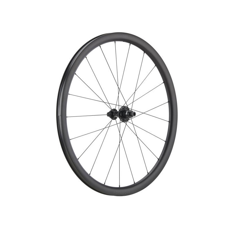 NEWMEN Advanced Gravel G.34 12 x 142mm Centerlock Sram XDR 12 fach Laufrad hinten