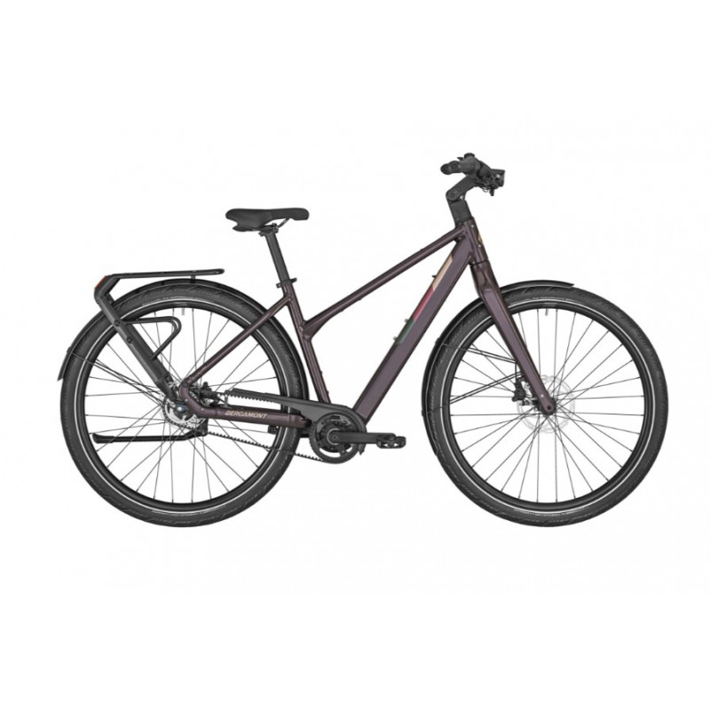 Bergamont E-Vitess Expert Lady