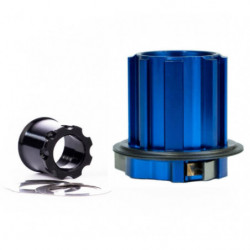 TUNE, Rear-Nabe ROAD, Prince CL 28h 12mm, Standard Bearings, Campagnolo N3W 6T, black