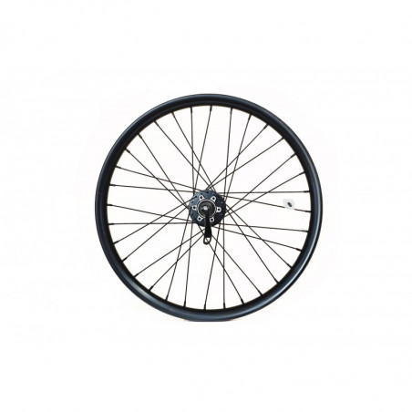 Tern Hinterrad Vektron S10, 20x 32L.,Novatec Disc, 130 mm (Black)