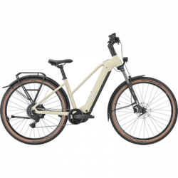 Bulls Iconic EVO 1, Trapez