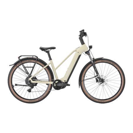 Bulls Iconic EVO 1, Trapez