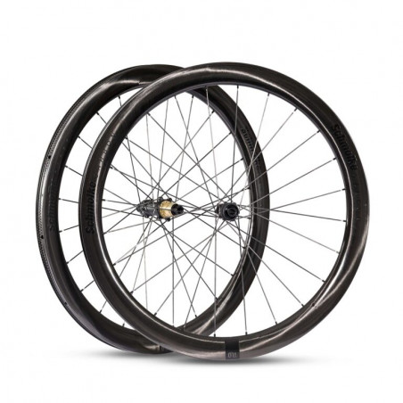 TLO 50 TLR Disc / UD DT Swiss 180 Black Edition