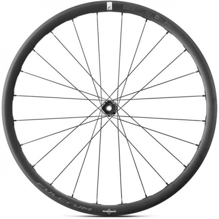 Fulcrum Soniq ALX DB Vorderrad, Mod. 26, C23 2-WayFit 12x100mm