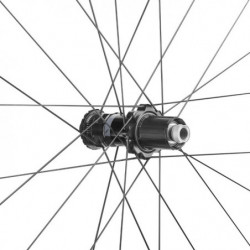 Fulcrum Rapid Red AL DB Gravel Hinterrad, Mod. 26, C25, 2-WayFit-R AFS 12x142mm MS 12S