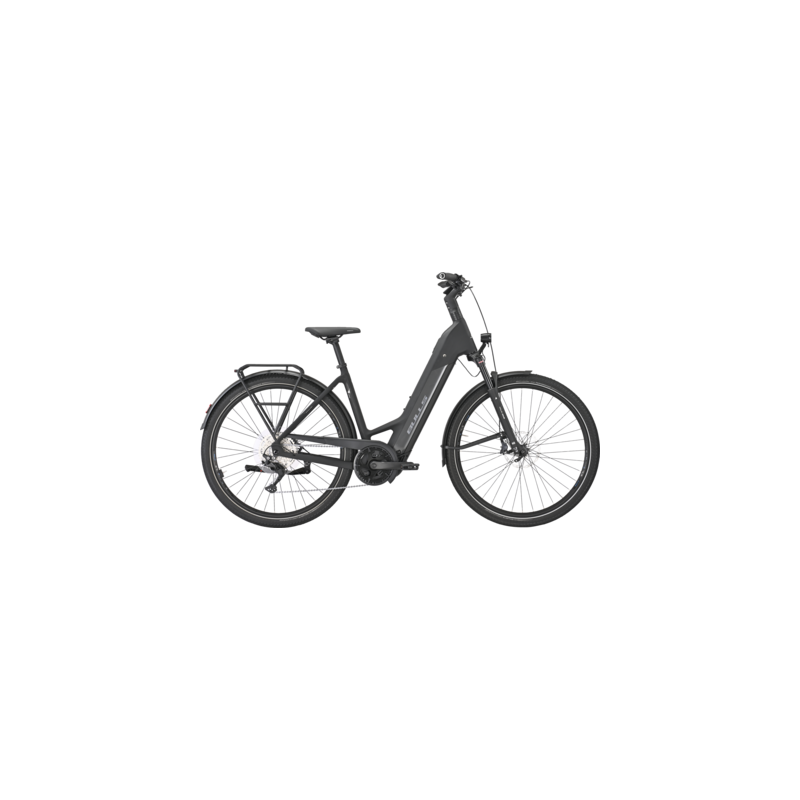 BULLS Cross Lite EVO Carbon 800 Wh, Tiefeinsteiger, Carbon matt