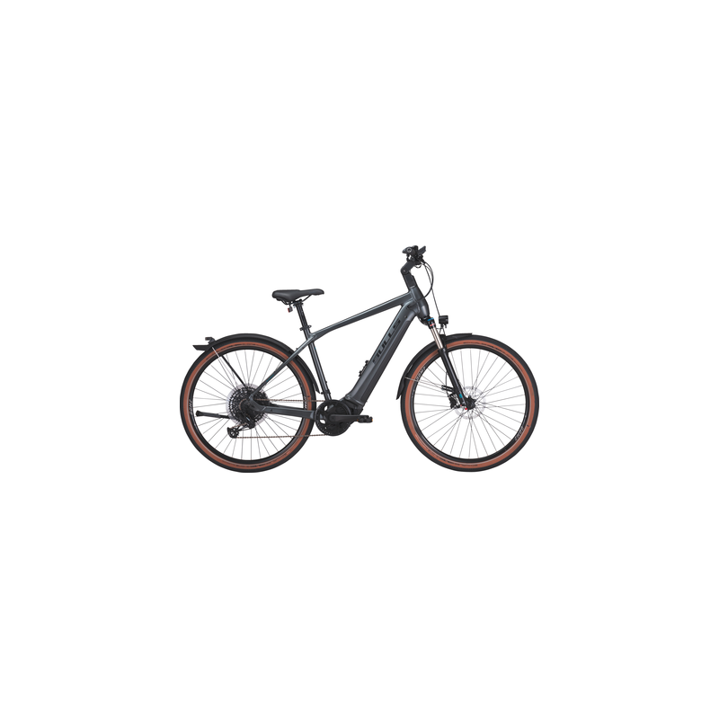 BULLS Cross Rider EVO 2, 750 Wh, Diamant, grey matt