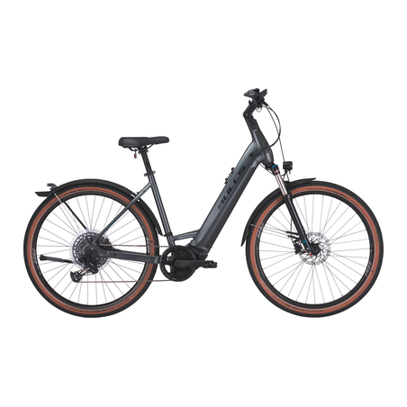 BULLS Cross Rider EVO 2, 750 Wh, Tiefeinsteiger, grey matt