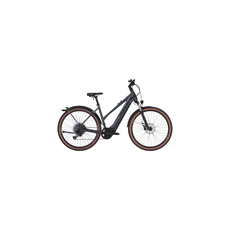 BULLS Cross Rider EVO 2, 750 Wh, Trapez, grey matt