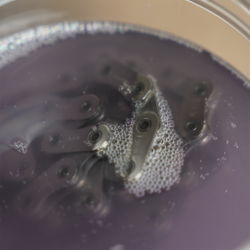 Dynamic Striptease 500ml