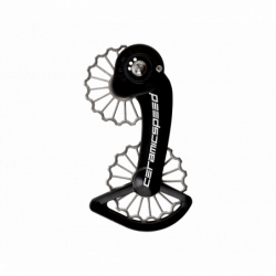 3D Printed Ti OSPW for SRAM...